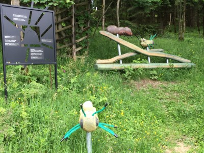 Unternehmercoaching wandernd im Harz