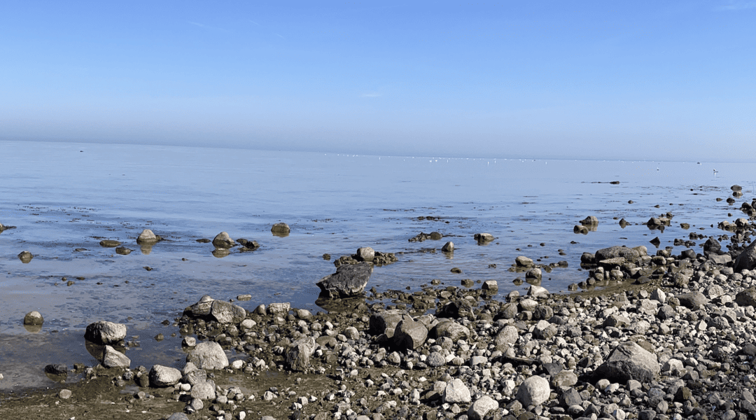Monatsrückblick April 2022