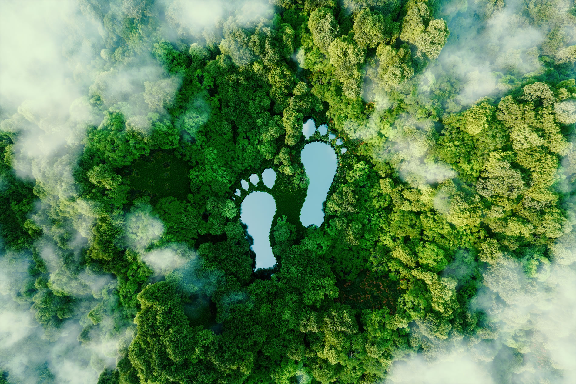 AdobeStock_461022701-b